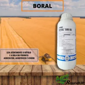 HERBICIDA BORAL 500 SC 1 LT
